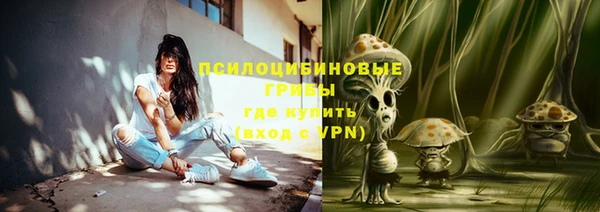 синтетический гашиш Богородск