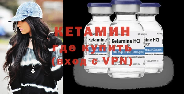 индика Бородино