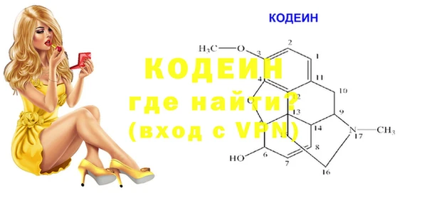 индика Бородино