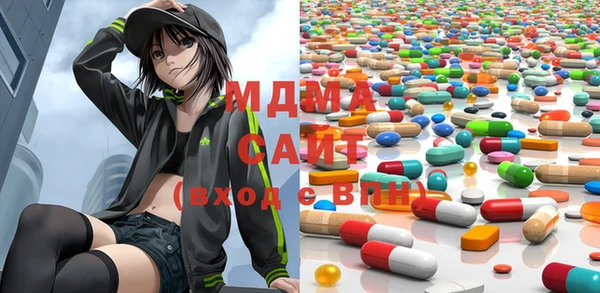 индика Бородино