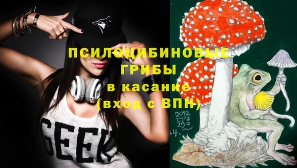 индика Бородино