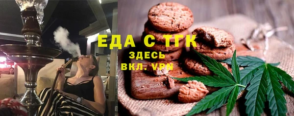 индика Бородино