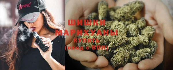индика Бородино