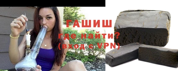 индика Бородино