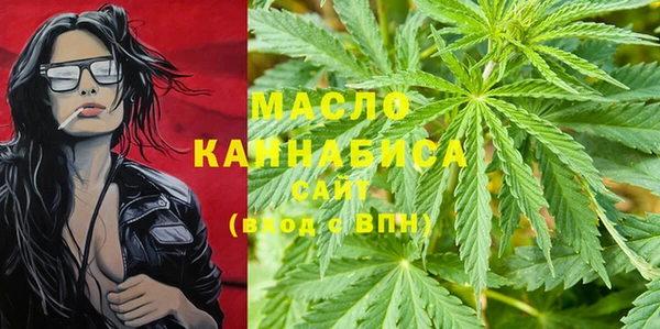 индика Бородино