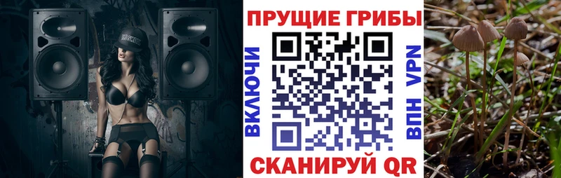 Галлюциногенные грибы Magic Shrooms Туапсе